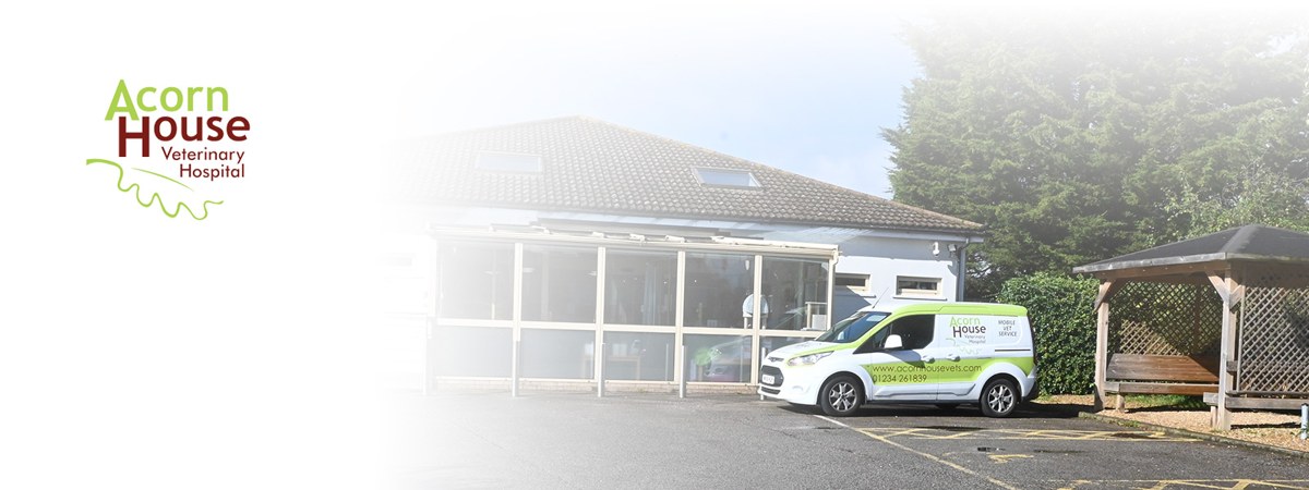 Acorn House Veterinary Hospital